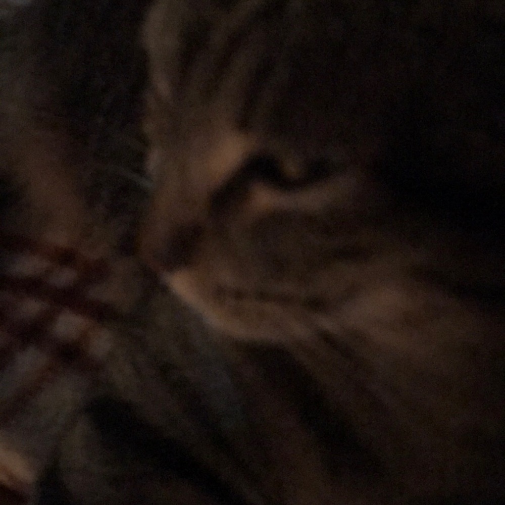 Meet your Posher, Emma